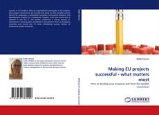 Making EU projects successful - what matters most的封面