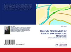 Portada del libro de TRI-LEVEL OPTIMIZATION OF CRITICAL INFRASTRUCTURE RESILIENCE