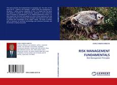 Buchcover von RISK MANAGEMENT FUNDAMENTALS