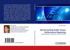 Copertina di Benchmarking Public Sector Performance Reporting