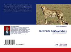 CREDIT RISK FUNDAMENTALS kitap kapağı