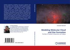 Copertina di Modeling Molecular Cloud and Star Formation