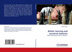 Capa do livro de Beliefs, learning and economic behavior 