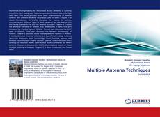 Multiple Antenna Techniques的封面