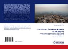 Copertina di Impacts of dam construction in Zimbabwe