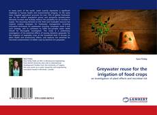 Greywater reuse for the irrigation of food crops kitap kapağı