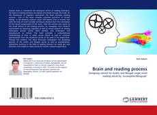Copertina di Brain and reading process