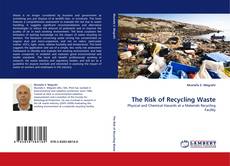 The Risk of Recycling Waste kitap kapağı