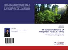 Borítókép a  Chromosomal Profile Of Indigenous Pig (Sus Scrofa) - hoz