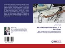 Buchcover von Multi-Point Boundary Value Problems
