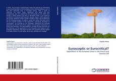 Eurosceptic or Eurocritical? kitap kapağı