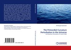 The Primordial Curvature Perturbation in the Universe kitap kapağı