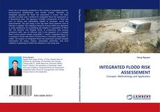 Обложка INTEGRATED FLOOD RISK ASSESSEMENT