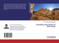 Portada del libro de Instability Assessment of Rock Slope