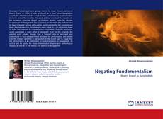 Buchcover von Negating Fundamentalism