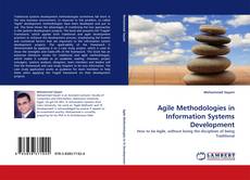 Agile Methodologies in Information Systems Development的封面