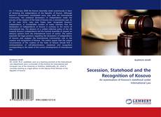Couverture de Secession, Statehood and the Recognition of Kosovo