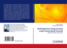 Multiobjective Programming under Generalized Invexity的封面