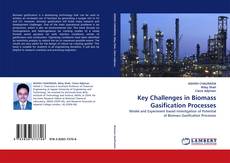 Key Challenges in Biomass Gasification Processes的封面