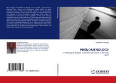 PHENOMENOLOGY kitap kapağı