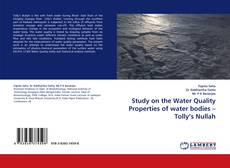 Study on the Water Quality Properties of water bodies – Tolly’s Nullah kitap kapağı
