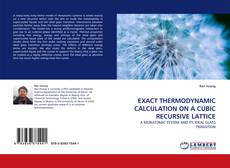 Copertina di EXACT THERMODYNAMIC CALCULATION ON A CUBIC RECURSIVE LATTICE