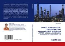 Copertina di SPATIAL PLANNING AND ENVIRONMENTAL ASSESSMENT IN INDONESIA