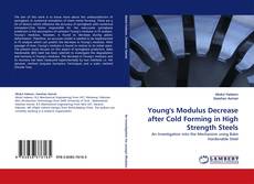 Buchcover von Young''s Modulus Decrease after Cold Forming in High Strength Steels