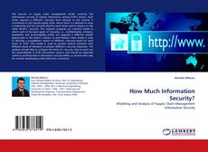 How Much Information Security? kitap kapağı