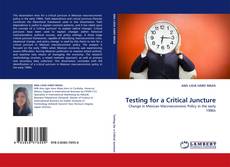 Testing for a Critical Juncture kitap kapağı
