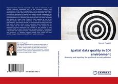 Spatial data quality in SDI environment kitap kapağı