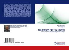Обложка THE HUMAN RECTUS SHEATH