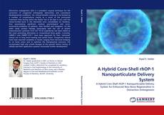 Bookcover of A Hybrid Core-Shell rhOP-1 Nanoparticulate Delivery System