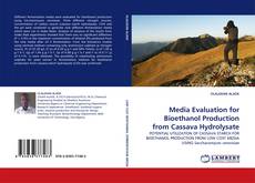 Portada del libro de Media Evaluation for Bioethanol Production from Cassava Hydrolysate