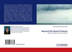 Beyond the Kyoto Protocol kitap kapağı