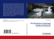Portada del libro de The Dissolution of Sparingly Soluble Salt Minerals