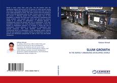 Buchcover von SLUM GROWTH