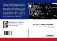 Biohybrid nanocomposites的封面