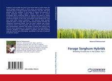 Couverture de Forage Sorghum Hybrids