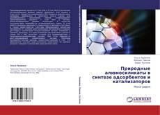 Buchcover von Природные алюмосиликаты в синтезе адсорбентов и катализаторов