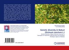 Copertina di Genetic diversity in Baburi (Ocimum sanctum L.)