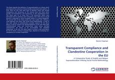 Copertina di Transparent Compliance and Clandestine Cooperation in the EU