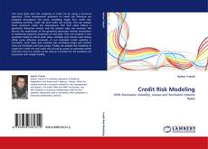 Copertina di Credit Risk Modeling