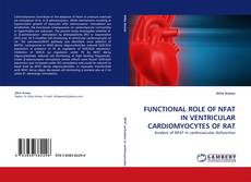 Copertina di FUNCTIONAL ROLE OF NFAT IN VENTRICULAR CARDIOMYOCYTES OF RAT