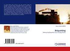 Buchcover von Briquetting