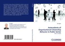 Antecedents of Organizational Citizenship Behavior in Public Sector kitap kapağı