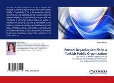 Person-Organization Fit in a Turkish Public Organization kitap kapağı