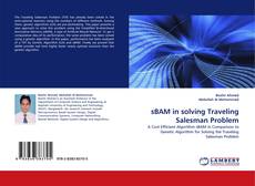 sBAM in solving Traveling Salesman Problem kitap kapağı