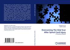 Capa do livro de Overcoming The Glial Scar After Spinal Cord Injury 