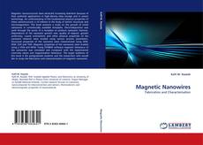 Copertina di Magnetic Nanowires